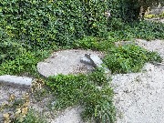 image-14-08-25-08-05-3