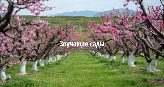 Звучащие сады (6+)