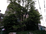 IMG_0801.JPG