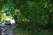565A9340-1.jpg
