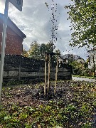 IMG_7136.jpeg