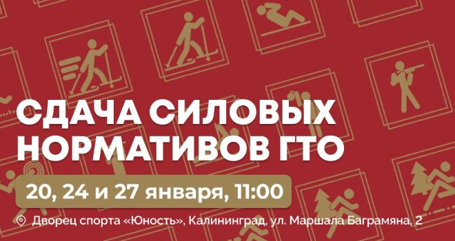 Сдача силовых нормативов ГТО (6+)