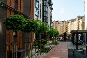 P1080851.jpg