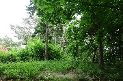 565A9725.JPG