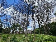 IMG_2294.JPG