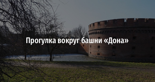 Прогулка вокруг башни «Дона» (0+)
