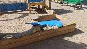 IMG_20250827_124623.jpg