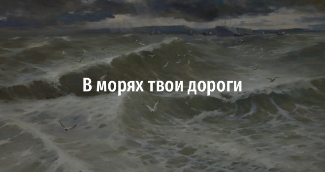 В морях твои дороги (12+)