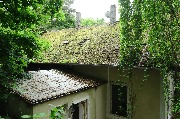 565A9654.JPG