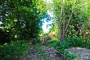 565A9350-1.jpg