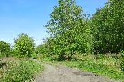 565A3909.JPG