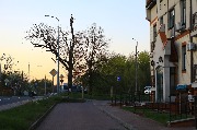 565A8789.JPG