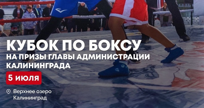 Кубок по боксу на призы главы горадминистрации (0+)