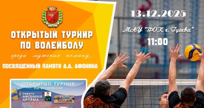 Турнир по волейболу памяти Артема Афонина (0+)