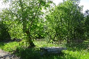 565A3903.JPG