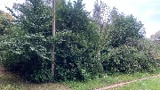 IMG_5366 янтарный, общепит, козорезов (2).JPG