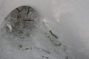 DSC_7450.jpg