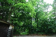 565A9635.JPG