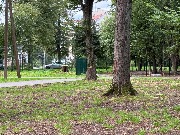 image-08-09-25-07-56-10