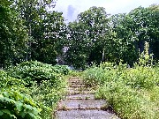 IMG_4033.JPG
