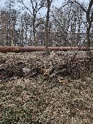 photo_2026-04-04 09.43.04.jpeg