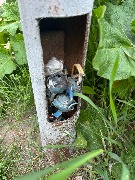 image-24-05-25-08-04-2