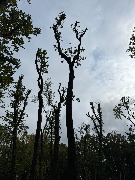 image-08-09-25-07-55