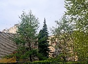 2025-04-24 09-12-20-1.jpg