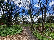 IMG_2291.JPG