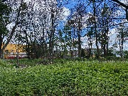 IMG_2313.JPG