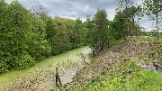 IMG_8735.JPG