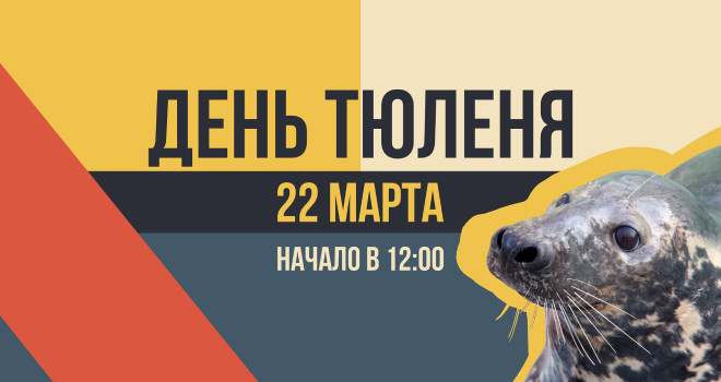 День тюленя в Зоопарке (6+)