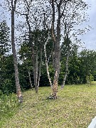 image-24-07-23-07-26