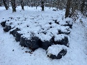 image-01-12-23-08-34-20