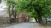 IMG_3526.jpg
