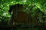 565A9709.JPG