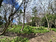 IMG_2299.JPG