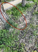 D1E4E716-EE93-4841-8136-D6E9E2DD46E5.jpg