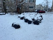 image-01-12-23-08-34-16