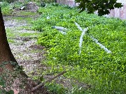 image-14-08-25-08-05-2