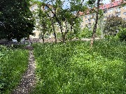 image-09-06-25-10-54-5