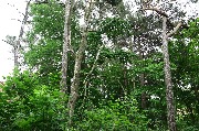 565A9734.JPG