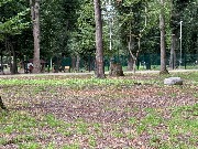 image-08-09-25-07-56-1