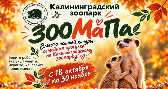 ЗООМаПа (0+)