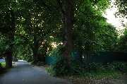 565A0128.JPG