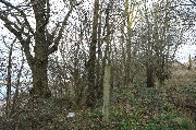 565A8742.JPG