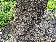 IMG_2310.JPG