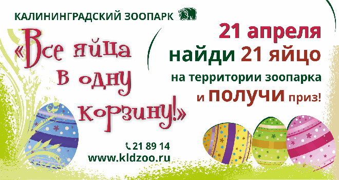 «Все яйца в одну корзину!»