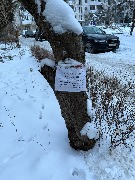 image-17-01-26-07-54-7