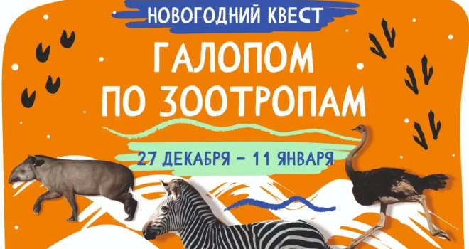 Галопом по ЗООтропам (12+)